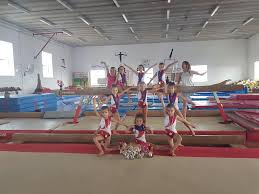 Image result for Tessaro Gymnastics Club
