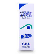 Image result for Cineraria maritima