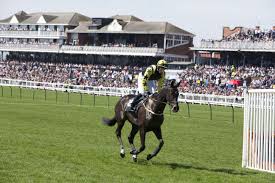 Image result for Ayr Riding Club