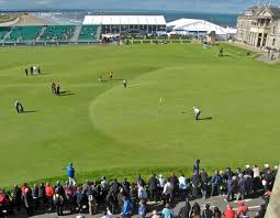 Image result for The Combe Martin Institute Club