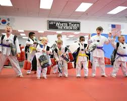 Image result for White Tiger Martial Arts