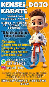 Image result for Kensei Karate Dojo