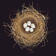 Attēlu rezultāti vaicājumam “nest”