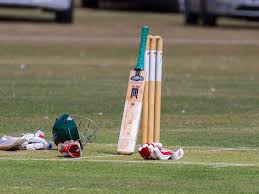 Image result for Yelverton Bohemians Cricket Club