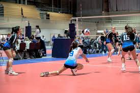 Image result for Ellesmere Port Eels Volleyball Club