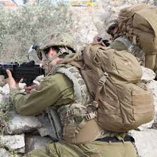 Image result for molle