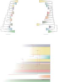 Image result for pfanzelt tehron