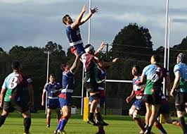 Image result for Footscray Rufc