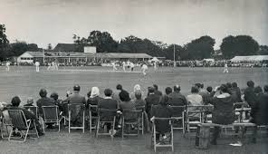 Image result for Byfleet Cricket Club