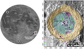 Attēlu rezultāti vaicājumam “Craterium minutum cf. var. brunneum stalked”