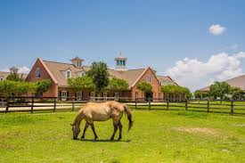 Image result for Lower Farm Stables