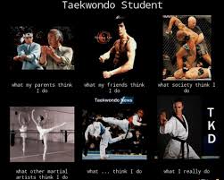 Image result for Reading Wtf Taekwondo