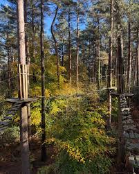 Image result for Go Ape! Alice Holt