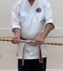 Image result for Yoseikan Budo England