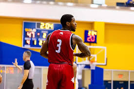 Image result for York University Dodgeball Club