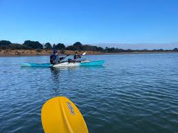 Image result for Basingstoke Canal Canoe Club