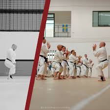 Image result for Woodley Karate Club