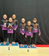 Image result for Kestrel Gymnastic Group