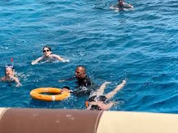 Image result for 3D Diving Club