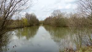 Image result for Seabrook Sea Anglers Association