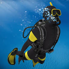 Image result for 3D Diving Club