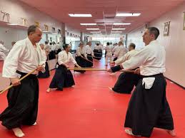 Image result for Shiro Kashi Aikido Club