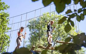 Image result for Go Ape! Moors Valley