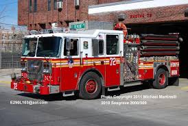 Image result for b%FD%E7ak anatomisi