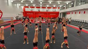 Image result for Redcar School Of Gymnastics