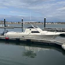 Image result for Braintree Sea Angling Club