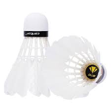 Image result for Carlton Badminton Club