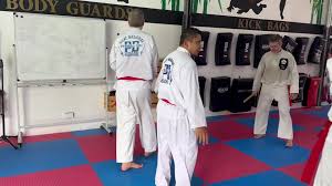 Image result for Silat Pd (Perisai Diri) UK