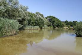 Image result for Penketh & Old Hall Angling Society