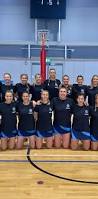 Image result for pulborough netball club