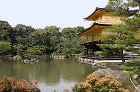 images?q=tbn:ANd9GcQvtP9g8AChuvWvahdE1jXIEGhFRMRixpuvp0sWCdIjjvMXenrW