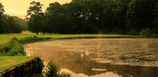 Image result for Kedleston Park Golf Club Ltd