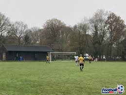 Image result for Newdigate F C