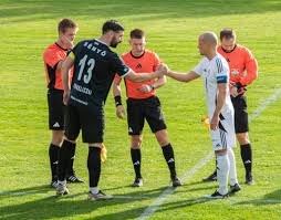 Image result for sényő