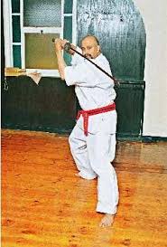 Image result for Kenshukai Karate
