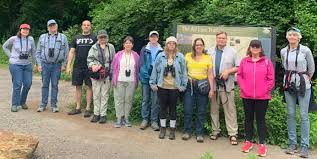 Image result for Kingfisher Twirling Team