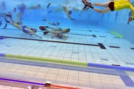 Image result for Isle of Man Octopush Club