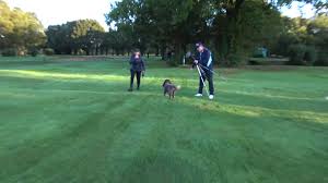 Image result for Old Fold Manor Golf Club Ltd