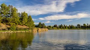 Image result for New Forest/Waterside