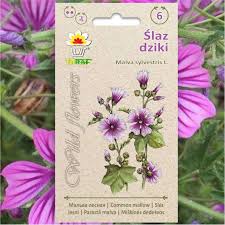 Image result for Malva sylvestris