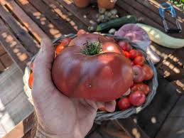 Afbeeldingsresultaat voor carbon tomato