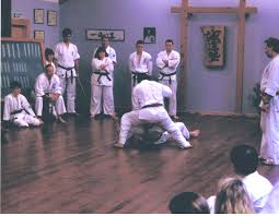 Image result for Devonport Shotokan Karate Club