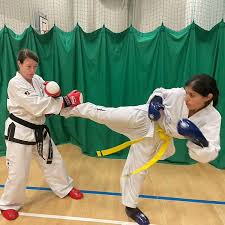 Image result for Hed Tkd (Dorking Tae Kwon-Do)