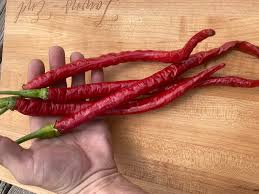 Afbeeldingsresultaat voor joe long cayenne hot pepper