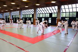 Image result for Sneyd Judo Club