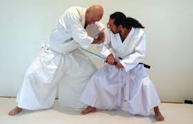 Image result for Ellis Schools of Traditional Aikido